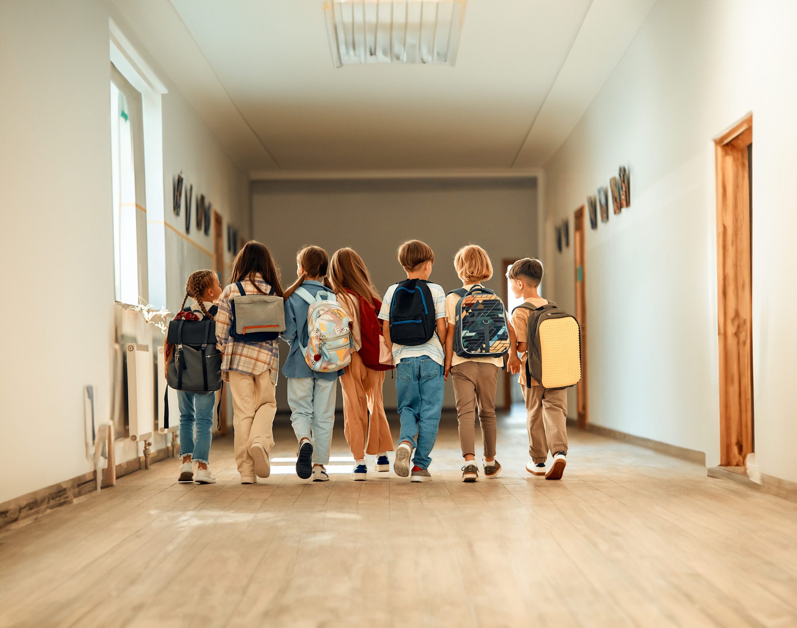 School Vaccination Programme
